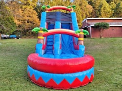 Red20and20Blue20Coconut20Slide20 20Front 1750369544 Red and Blue Coconut Tree Slide